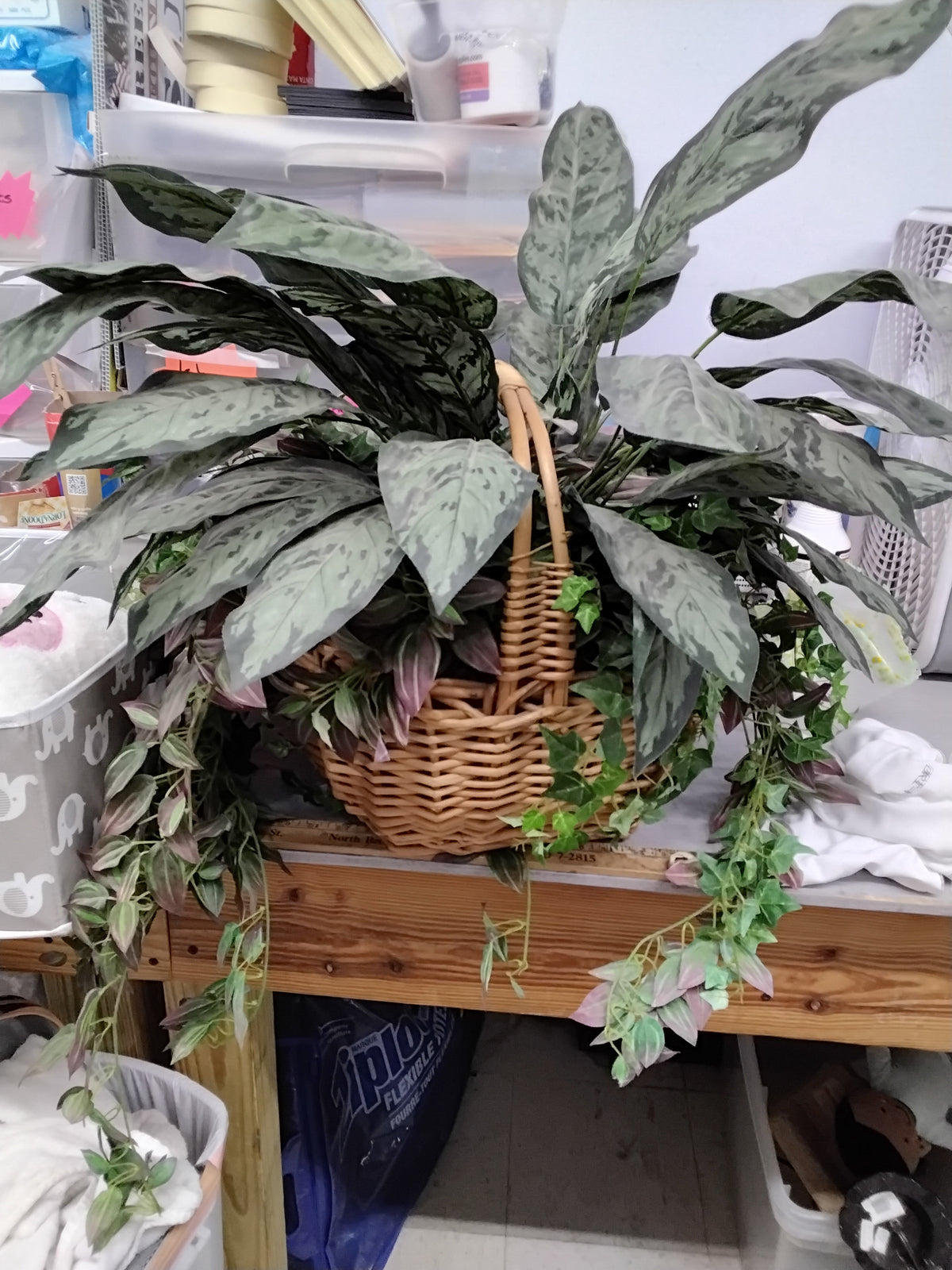 Plant decor
