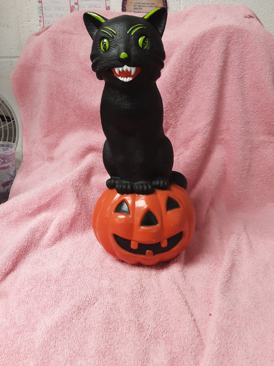Cat and pumpkin