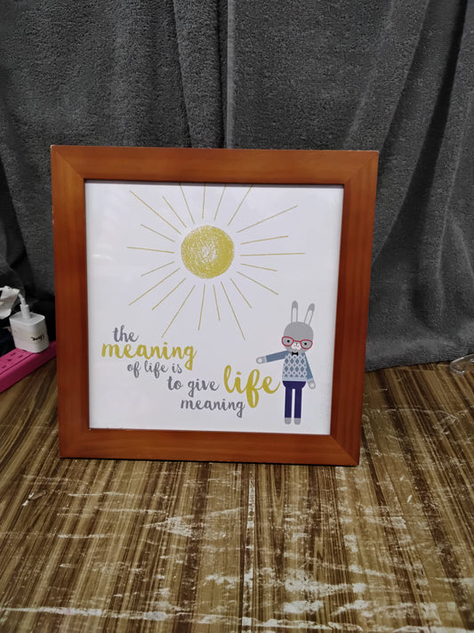 The meaning of life picture