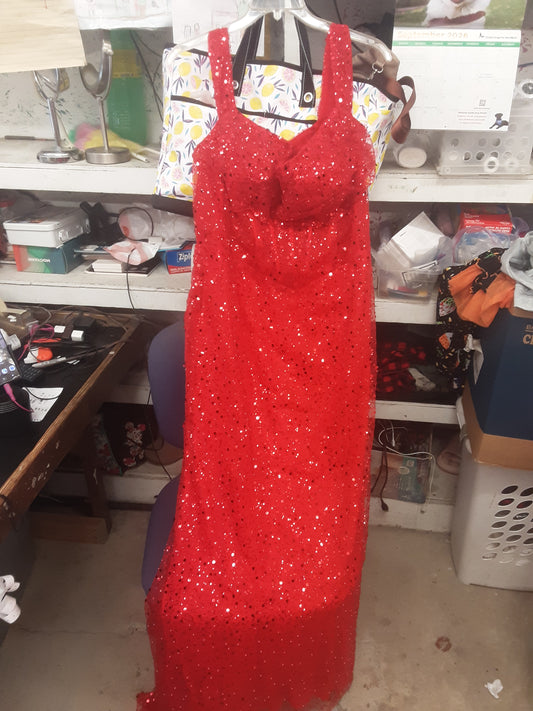 Women's Dress size 2x