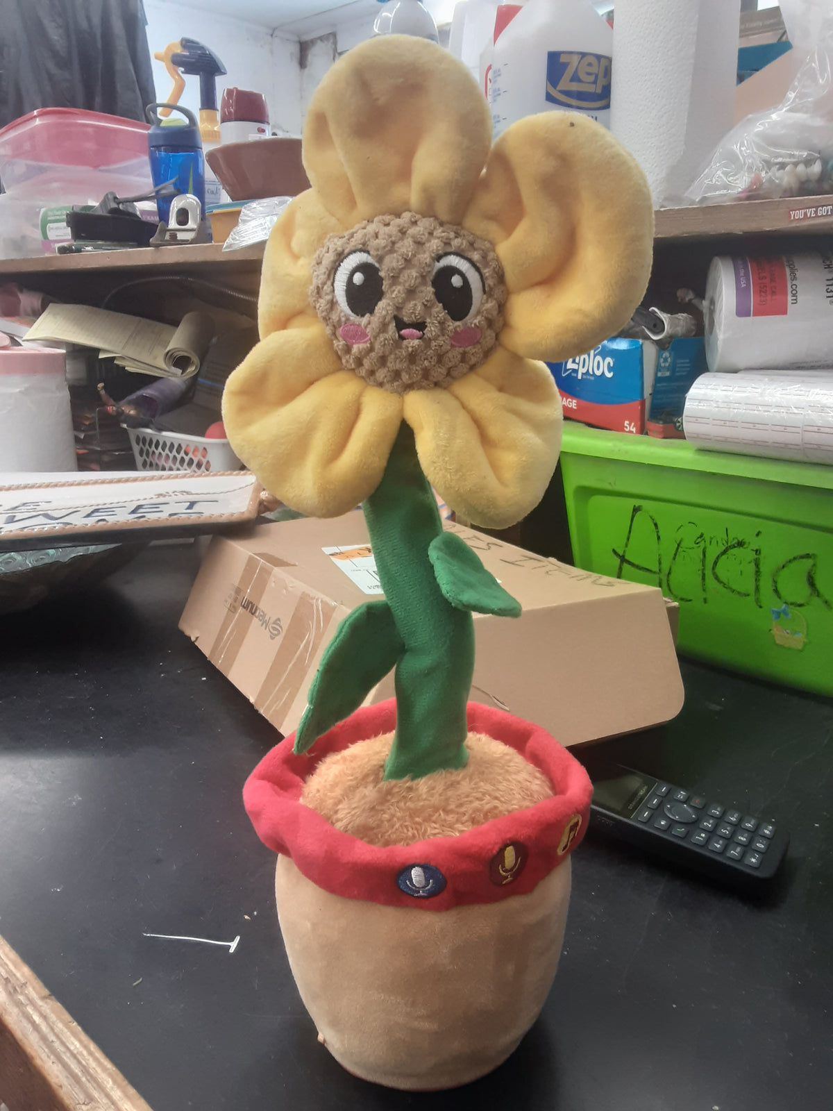 Flower 🌼 toy