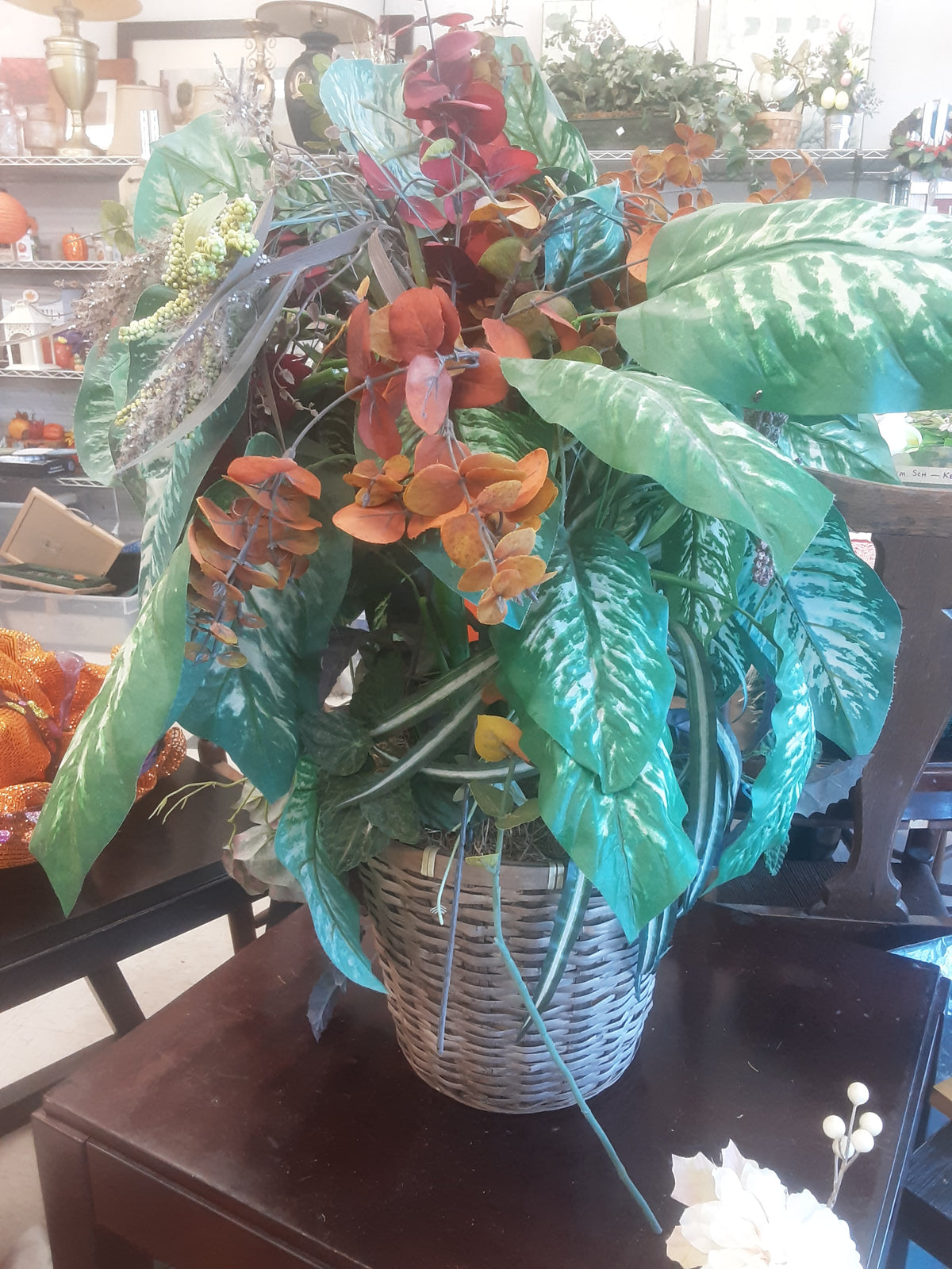 Plant Decor