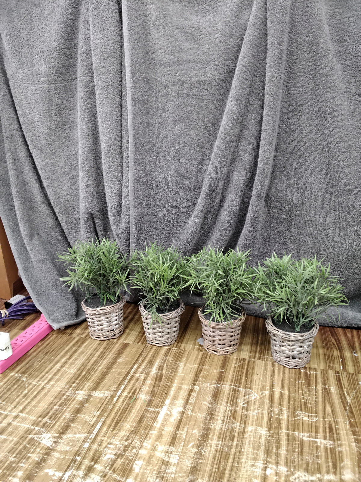 Decor plant